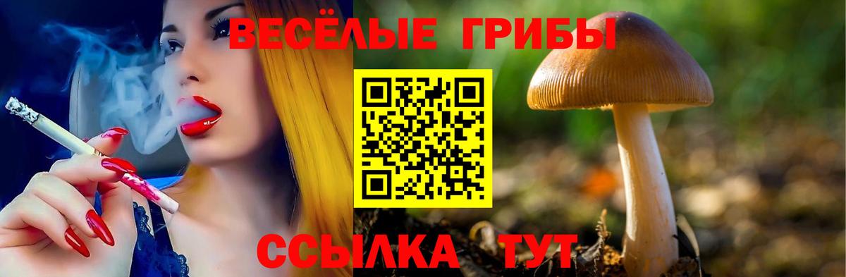 Галлюциногенные грибы GOLDEN TEACHER  Вход с VPN  Кумертау 
